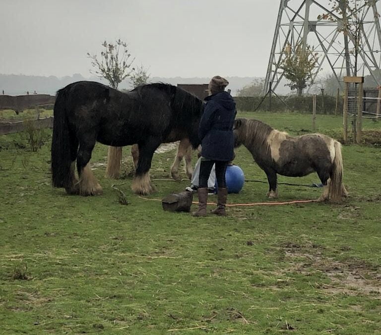 Hoe ik voor mezelf kies na een burnout
