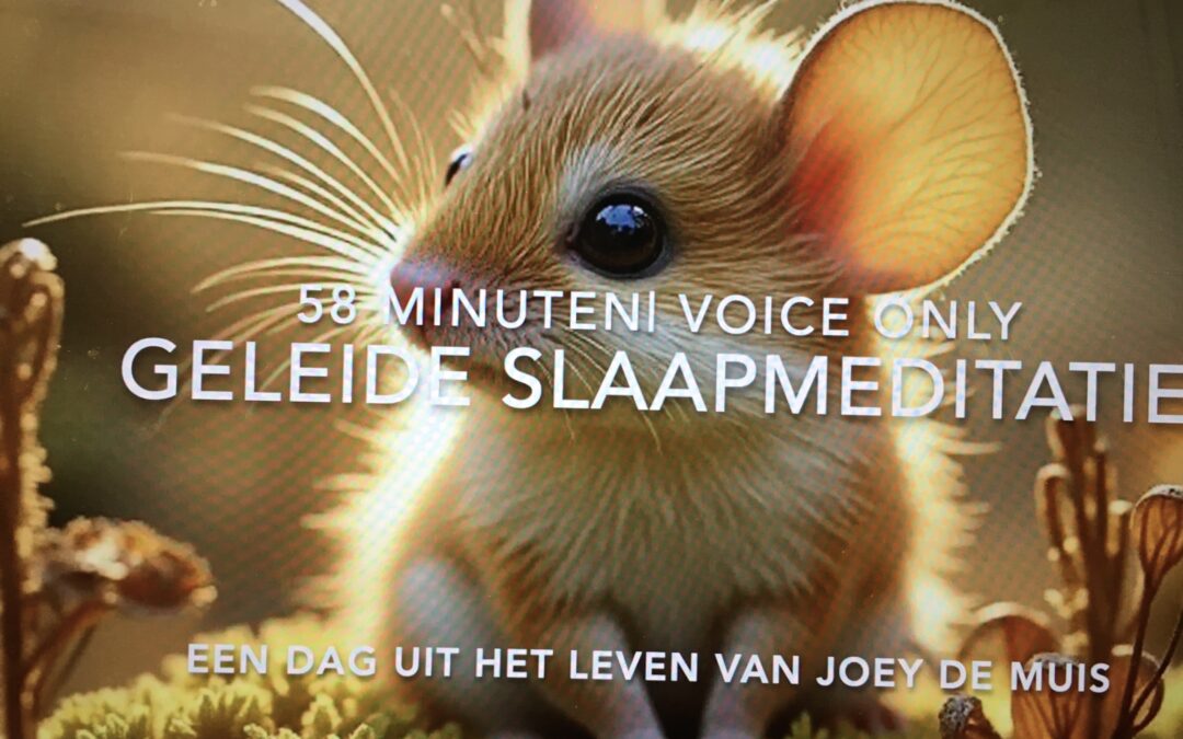 58 minuten | Geleide slaapmeditatie | Een dag in het leven van Joey de muis