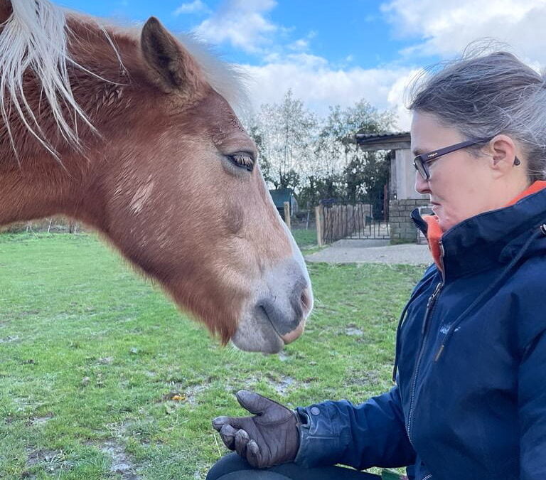 Waar nodigt het leven jou in uit?