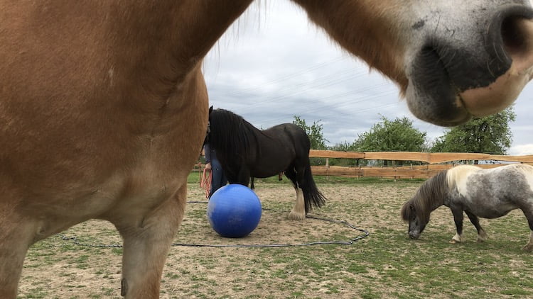 Over innerlijke kracht, boosheid, gebrek aan concentratie, zwaarte en verlies