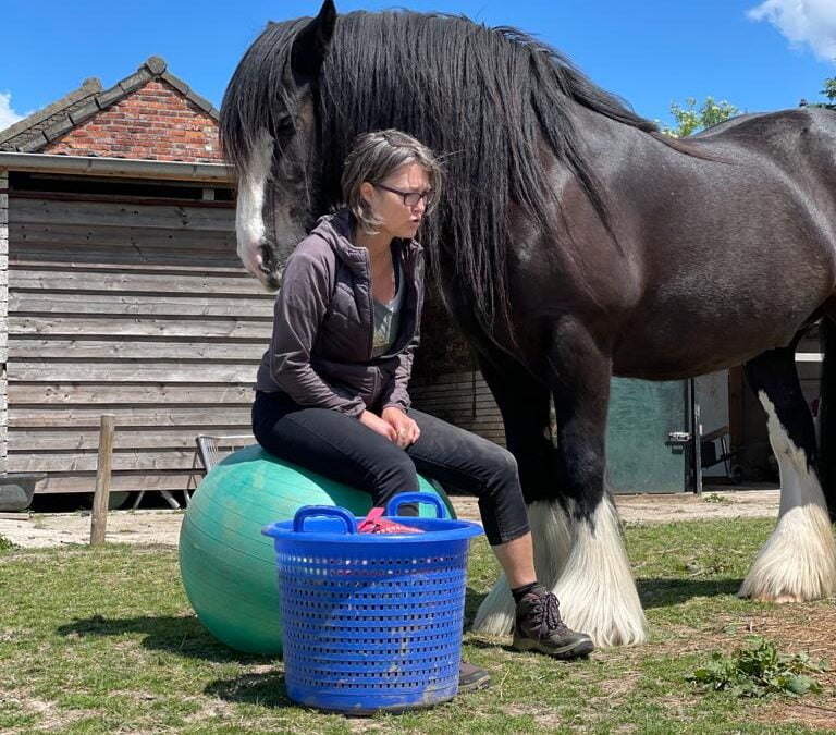Boosheid als Zachte, Opbouwende Energie Inzetten