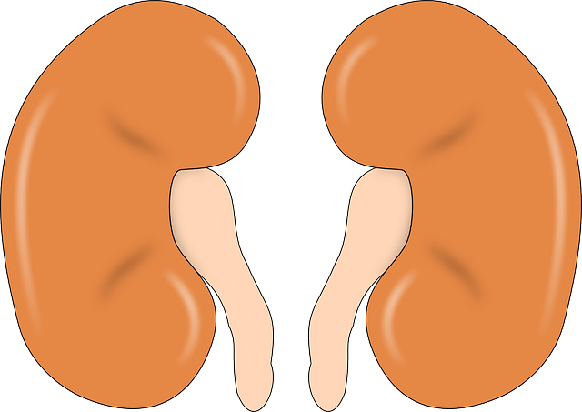 Als je pijnlichaam je letterlijk lam legt